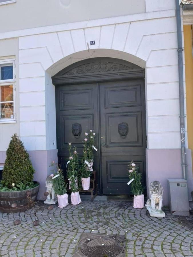 Apothekergaarden Stege Stuen Mod Gardhaven B&B 외부 사진